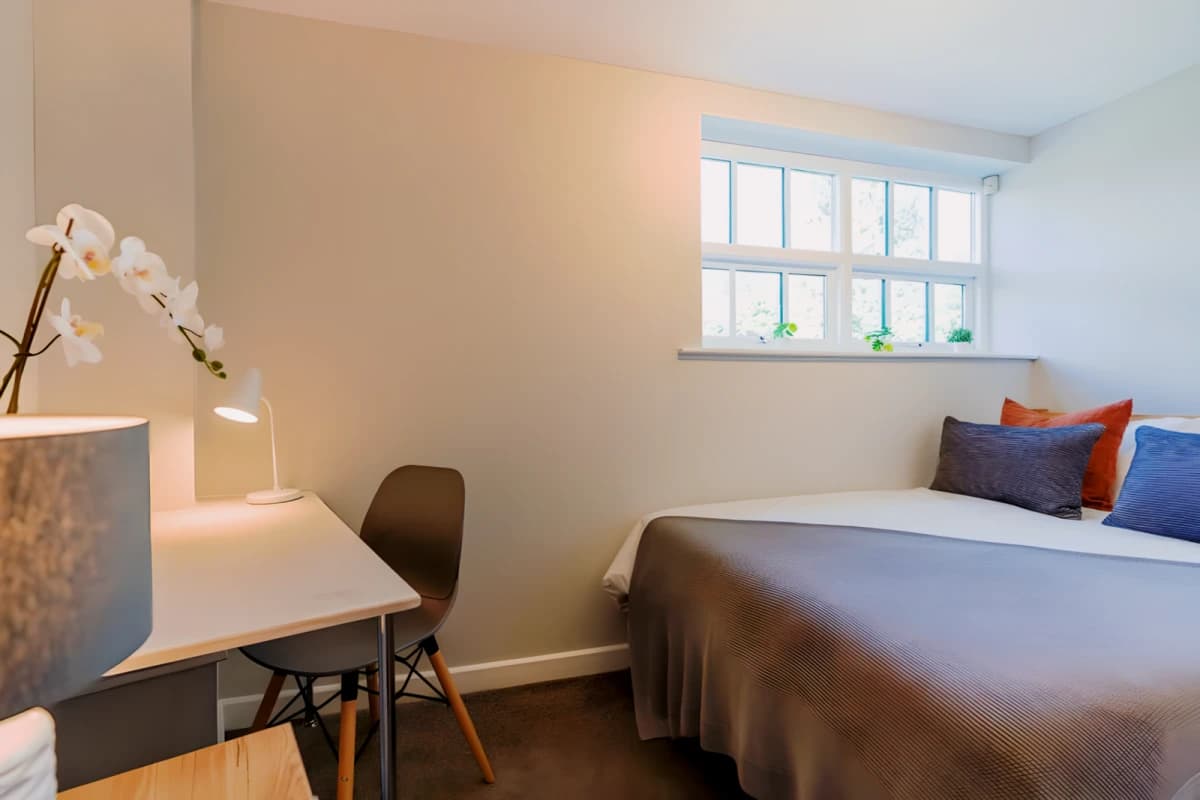 2 Bed 1 Bath
