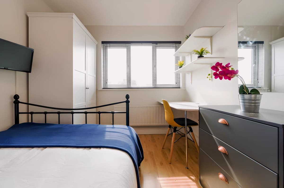6 Bed 2 Bath