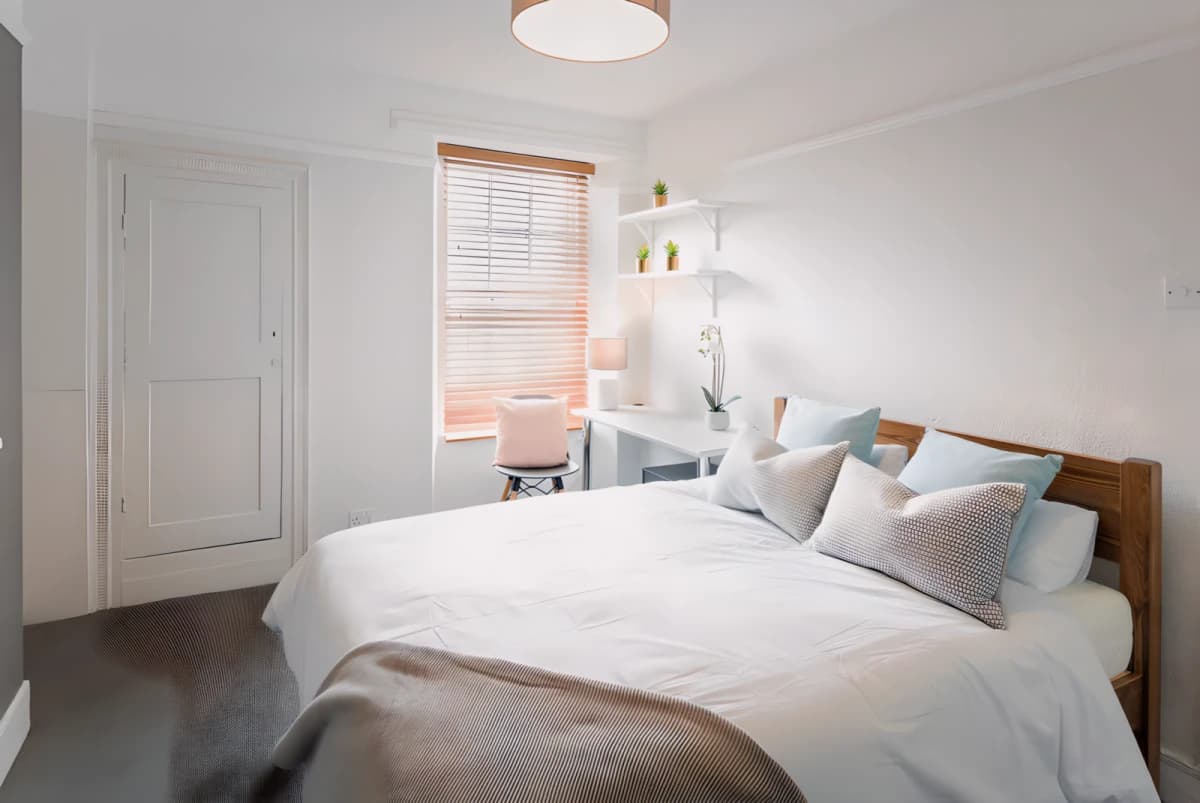 8 Bed 2 Bath
