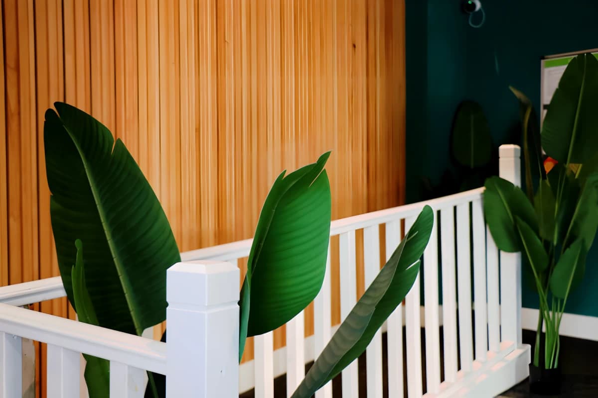 Dojo House image