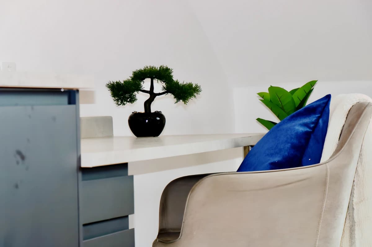 Dojo House image