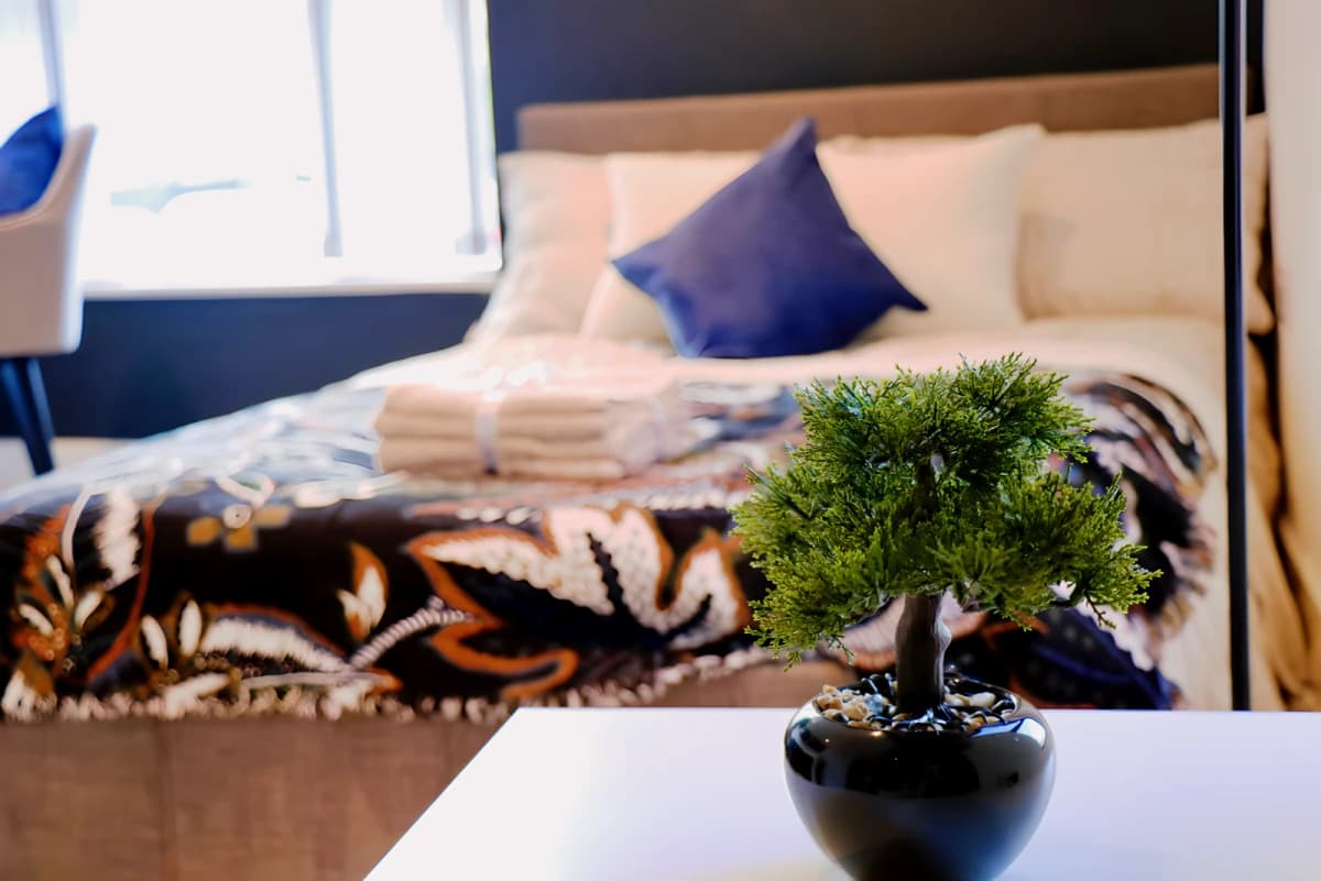 Dojo House image