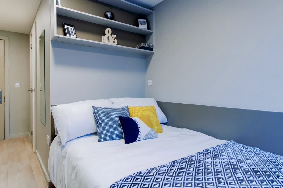 Calico image