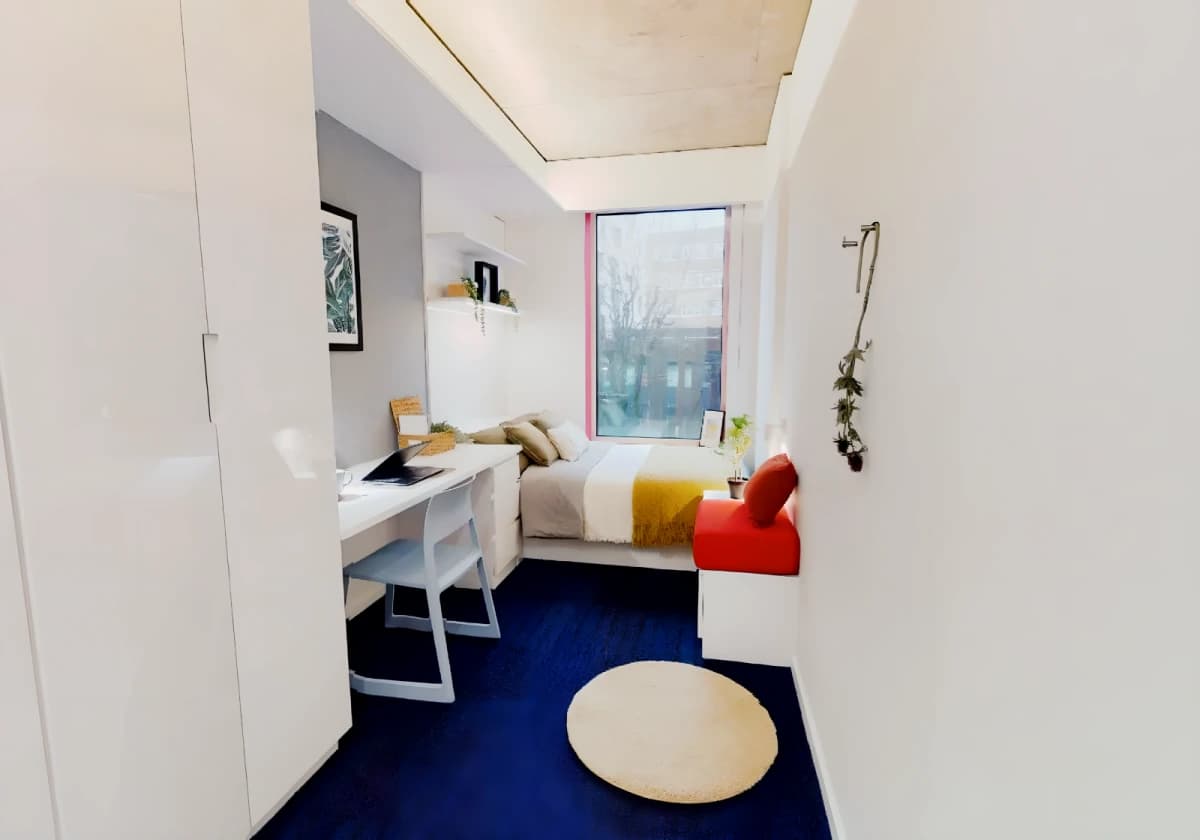 iQ Brighton image