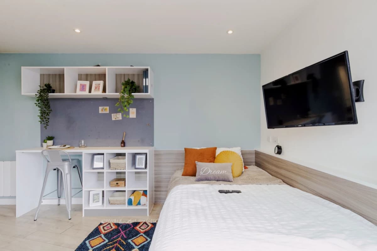 Lumis Leicester image