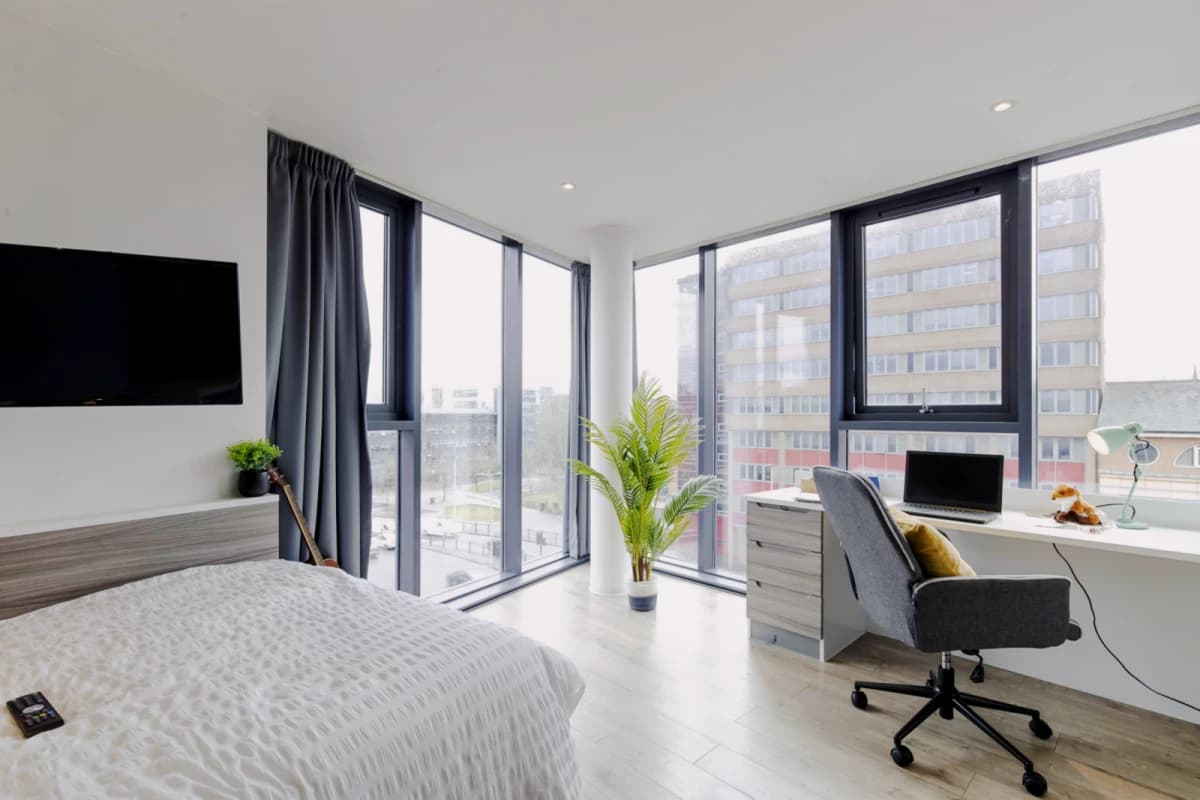 Lumis Leicester image