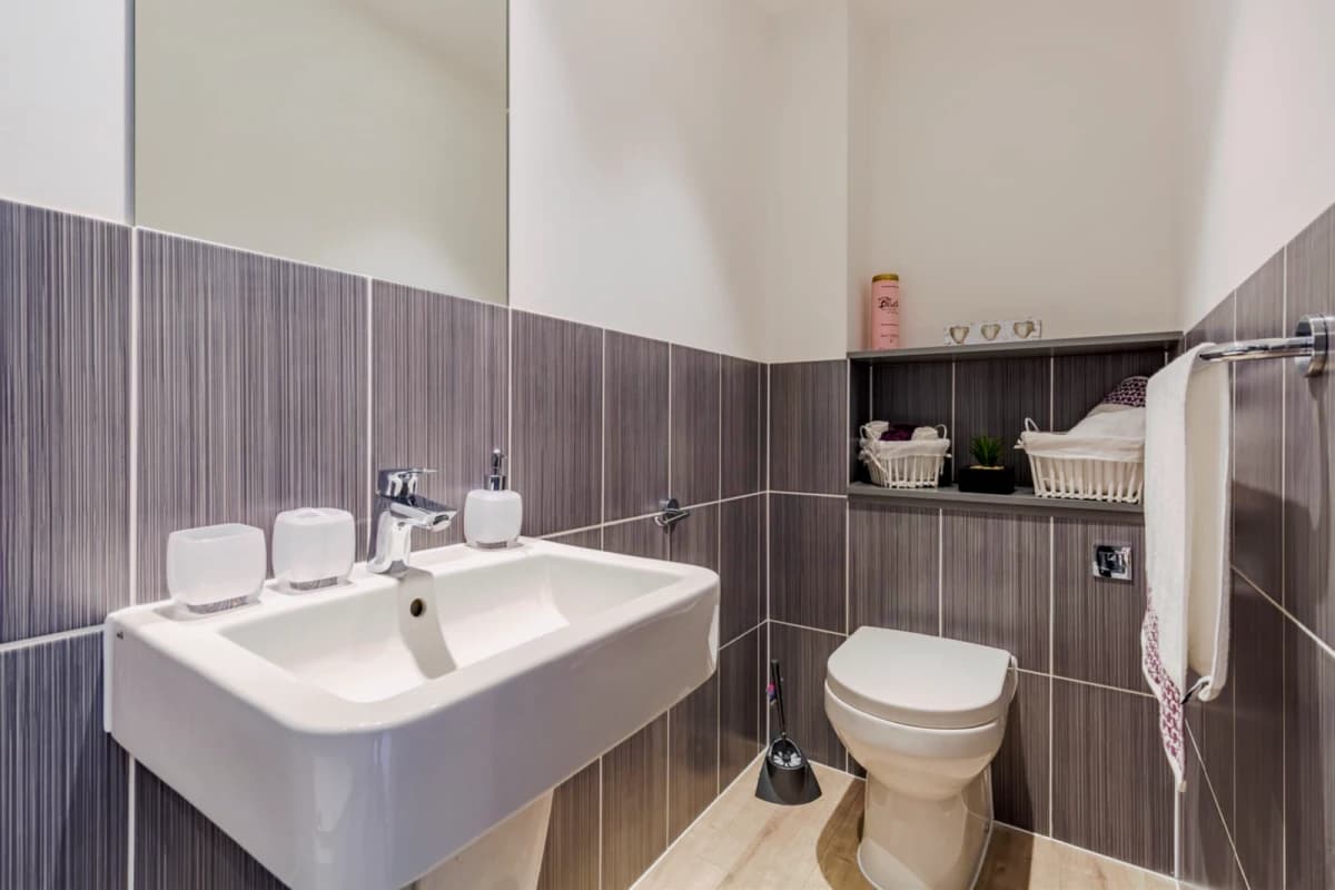 Lumis Leicester image