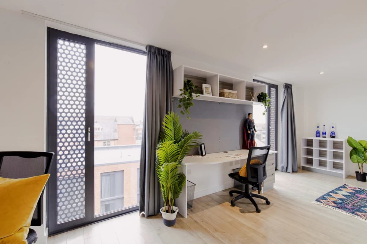 Lumis Leicester image