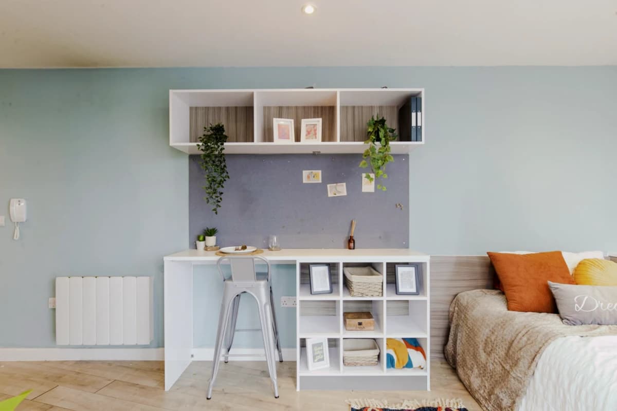 Lumis Leicester image