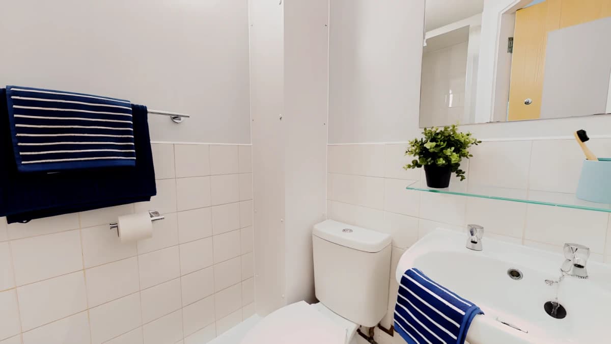 iQ Student Quarter image