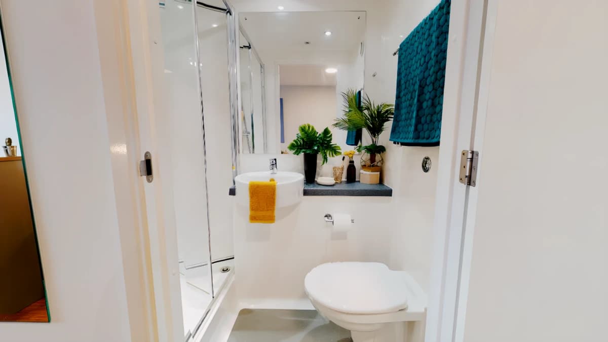 iQ Collingwood image