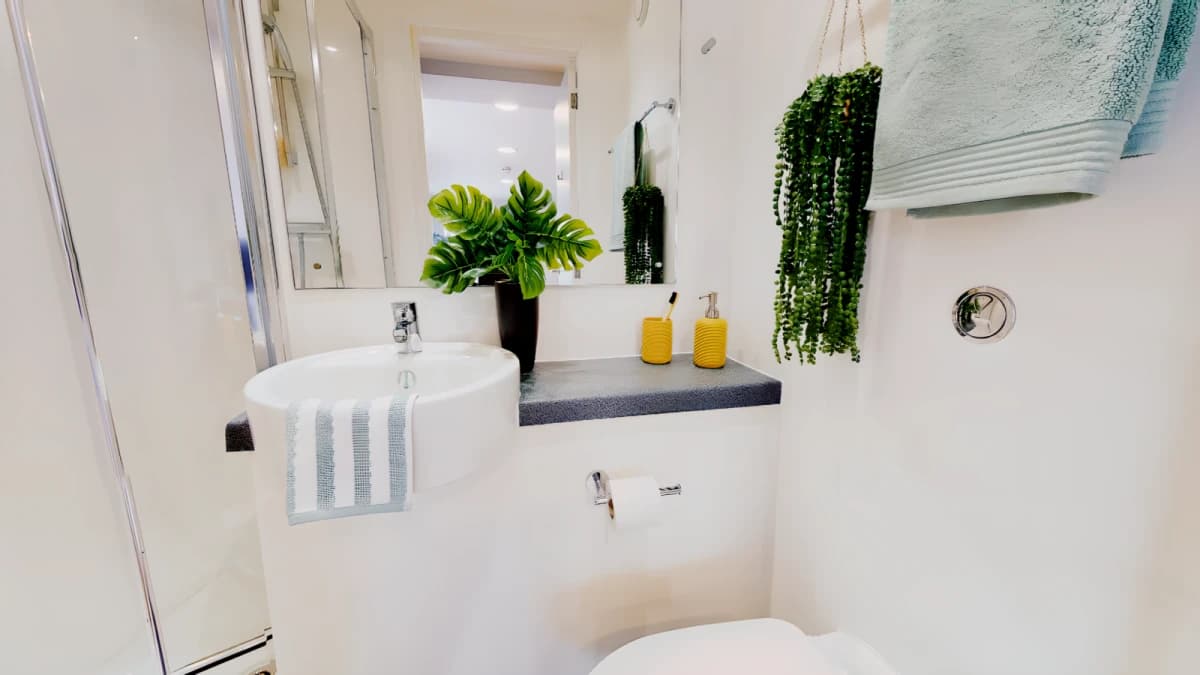 iQ Collingwood image