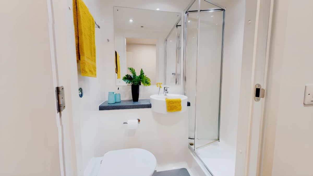 iQ Collingwood image