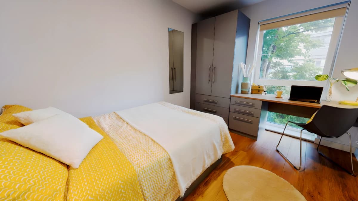 iQ Collingwood image