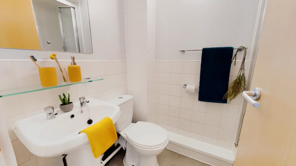 iQ Student Quarter image