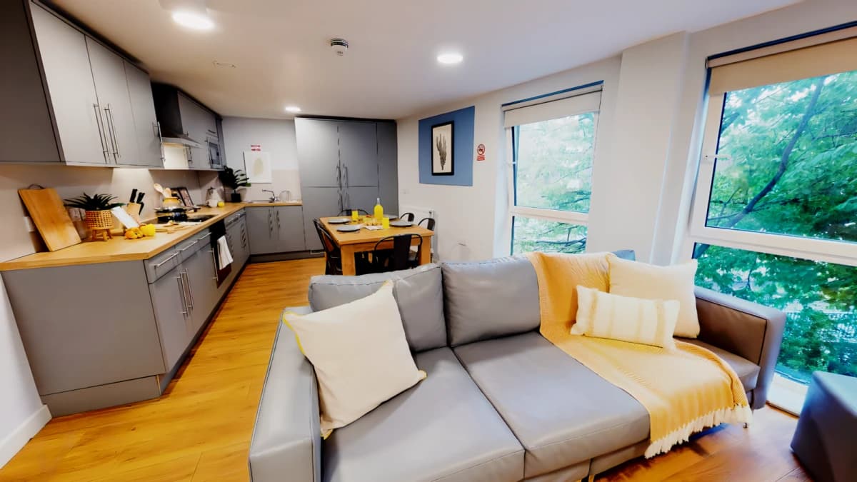 iQ Collingwood image