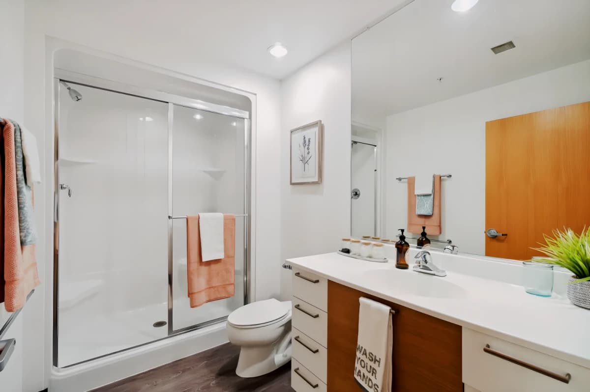 2 Bed 1 Bath B1