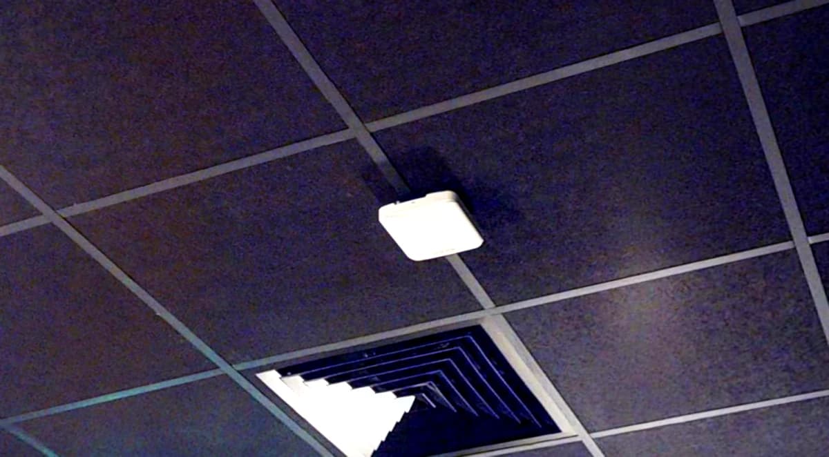 iQ Hoxton image