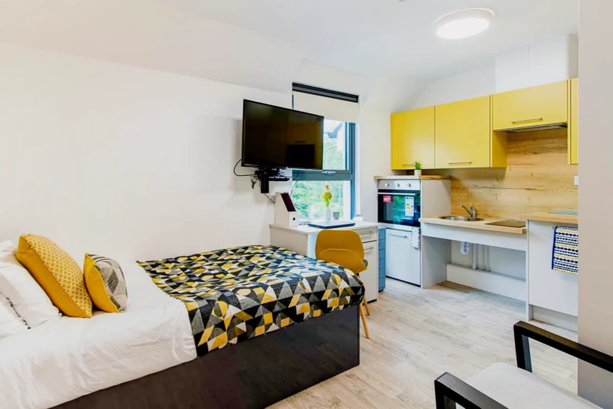 Deluxe Accessible Studio