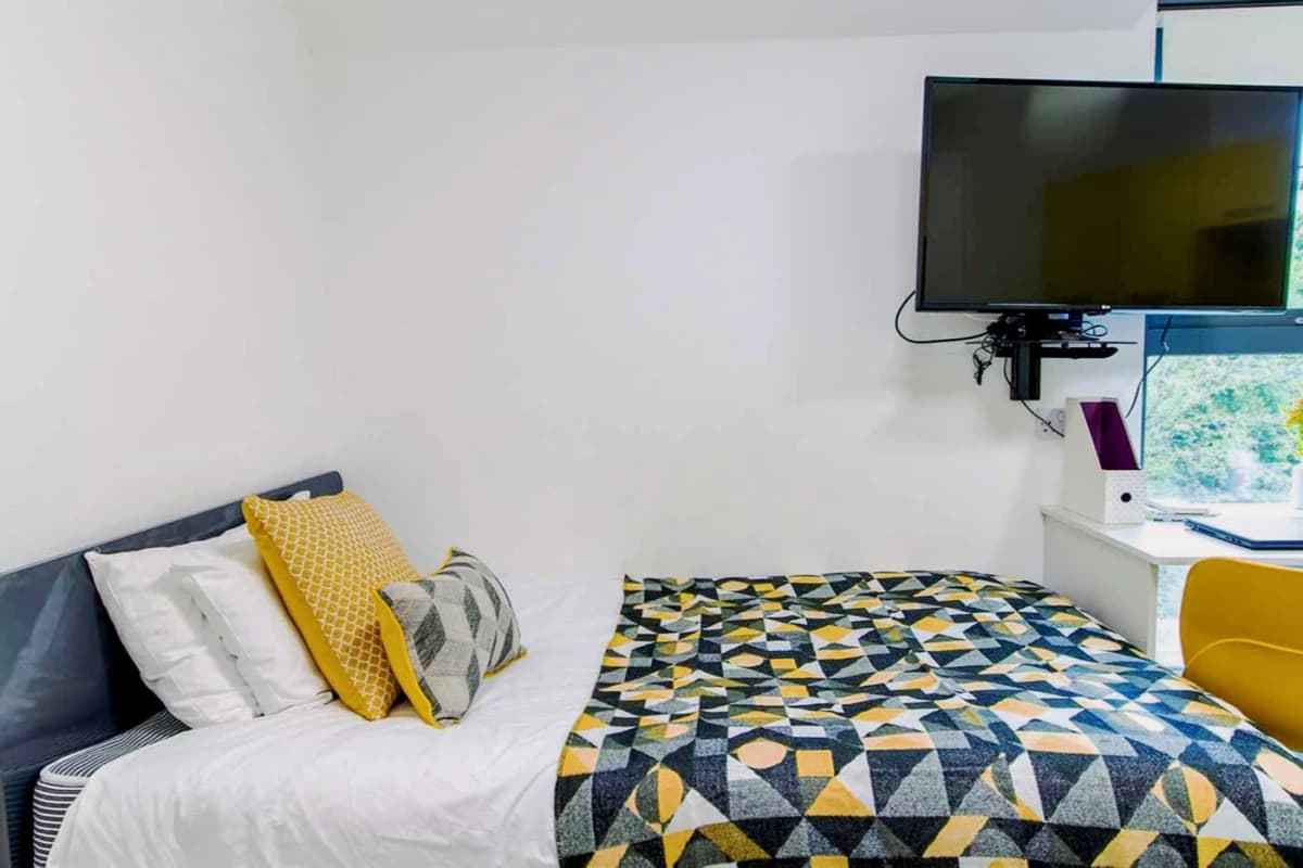 Deluxe Accessible Studio