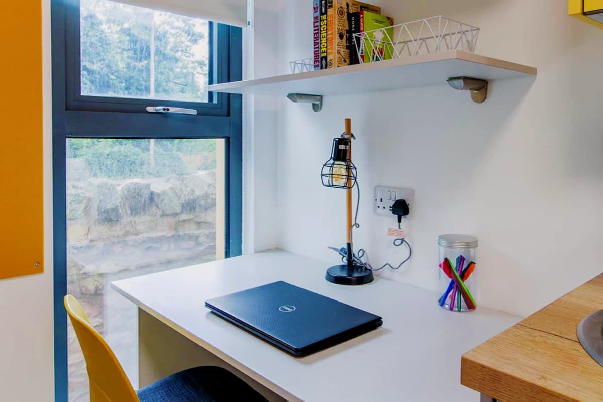 Standard Studio Plus