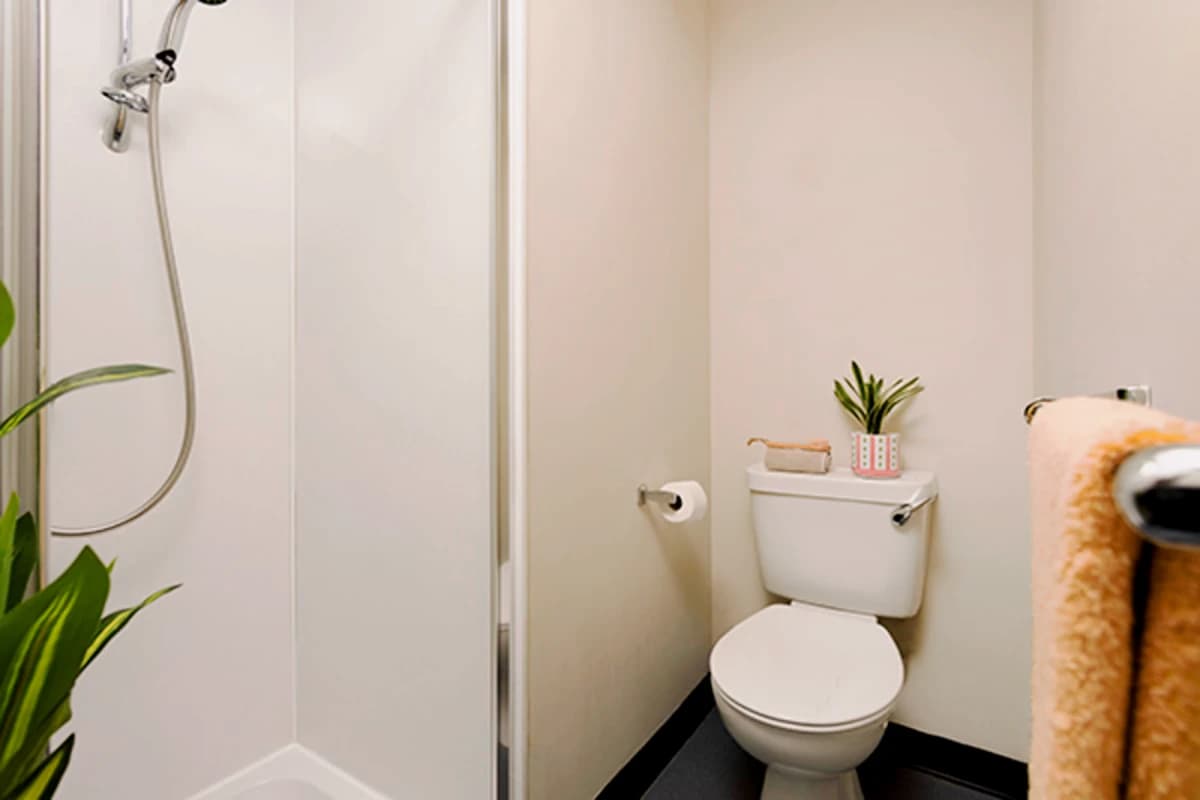 Premium Studio