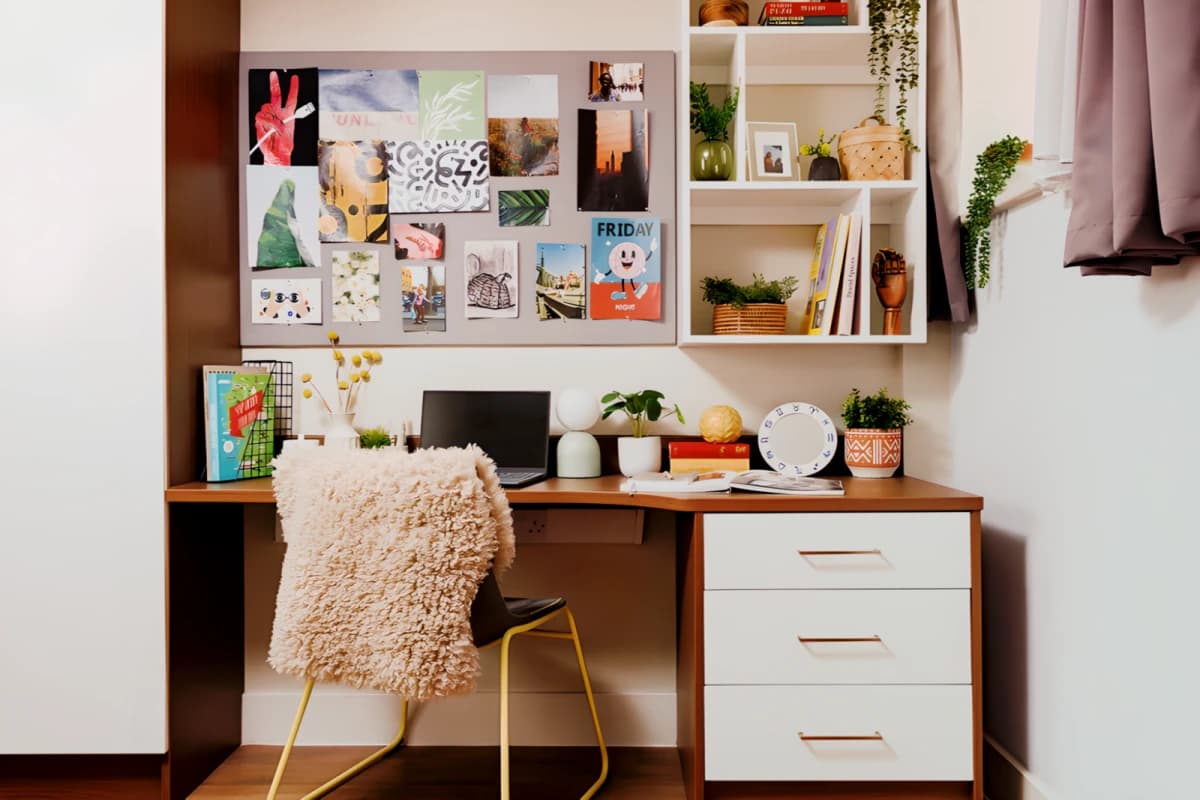 Medium Studio