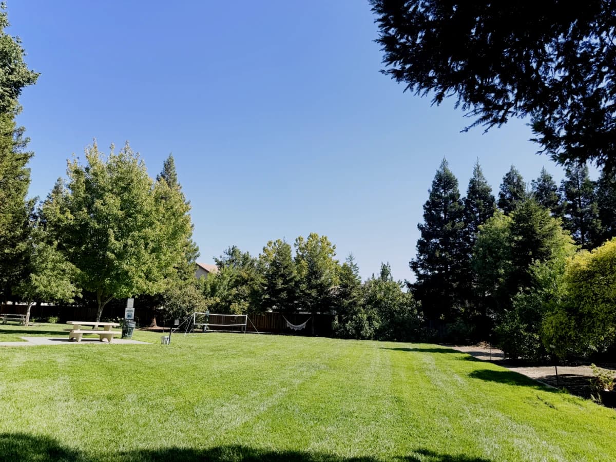 Adobe at Evergreen image