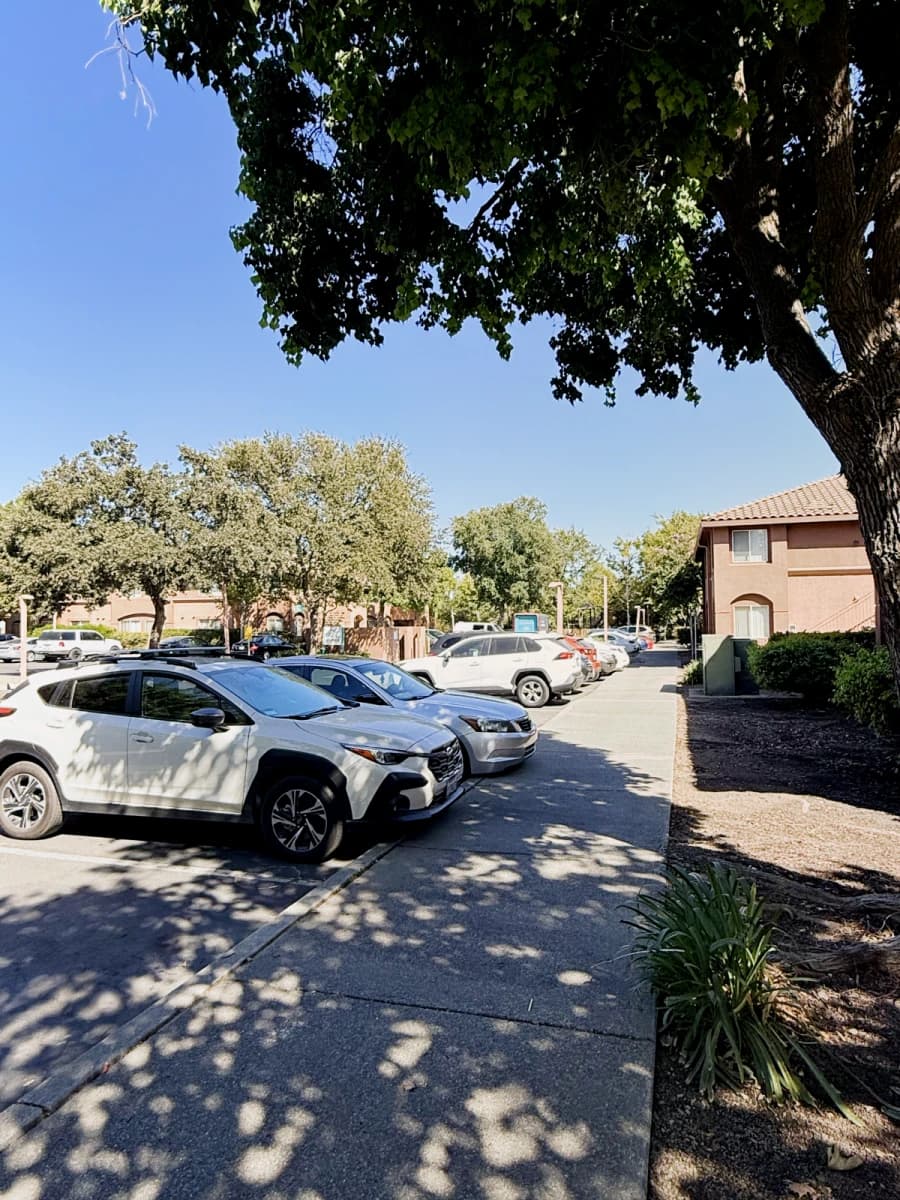 Adobe at Evergreen image