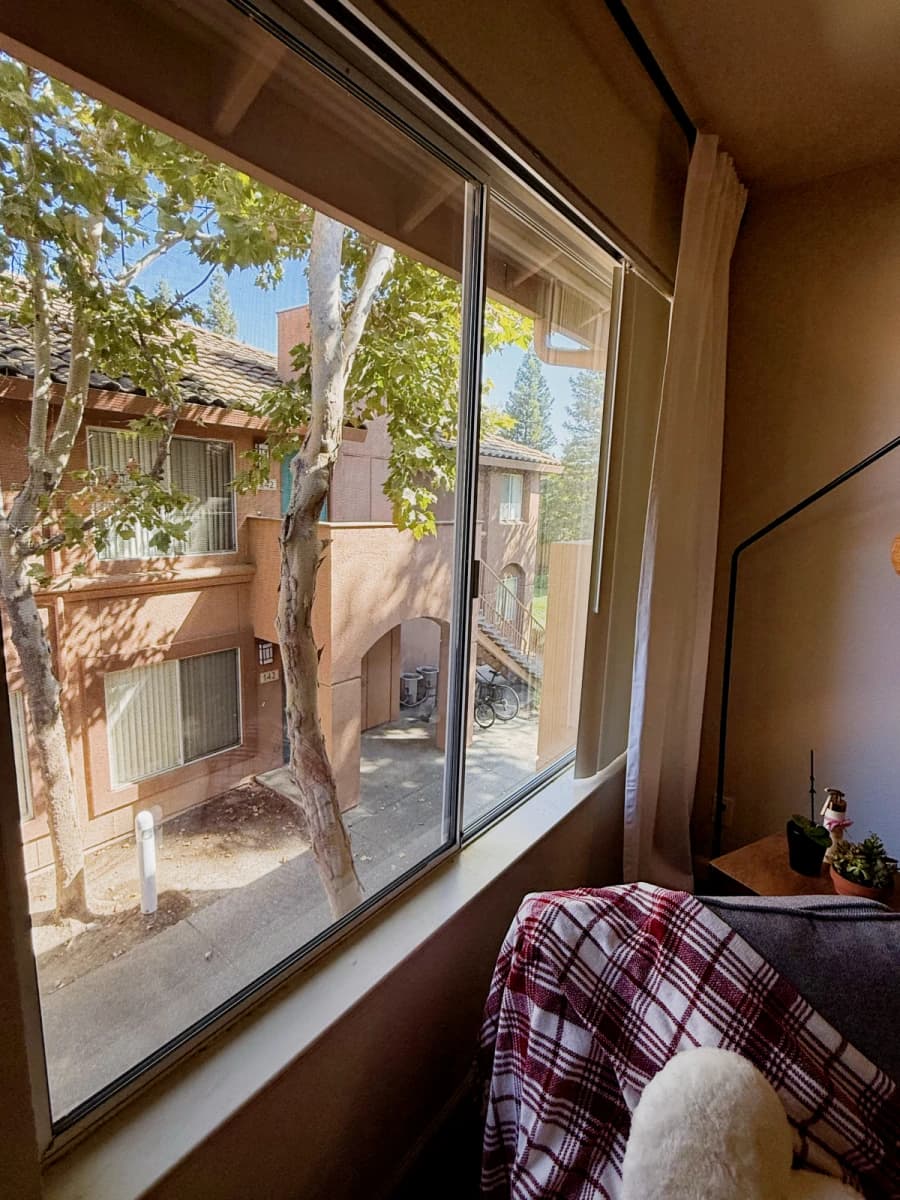 Adobe at Evergreen image