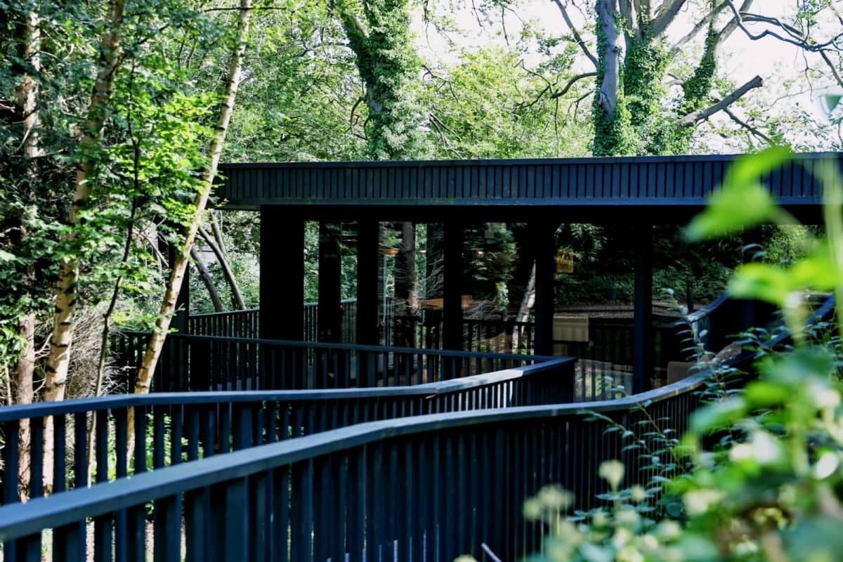 Beech Gardens image 2