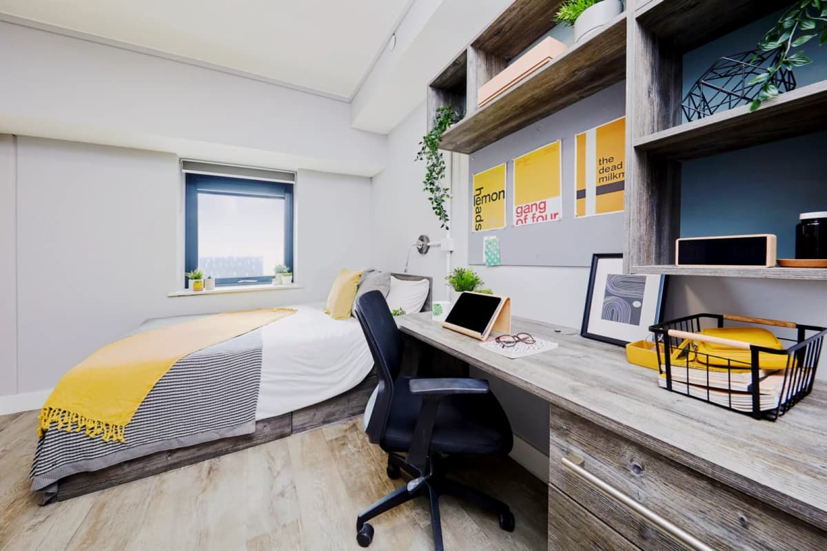 Large Studio
