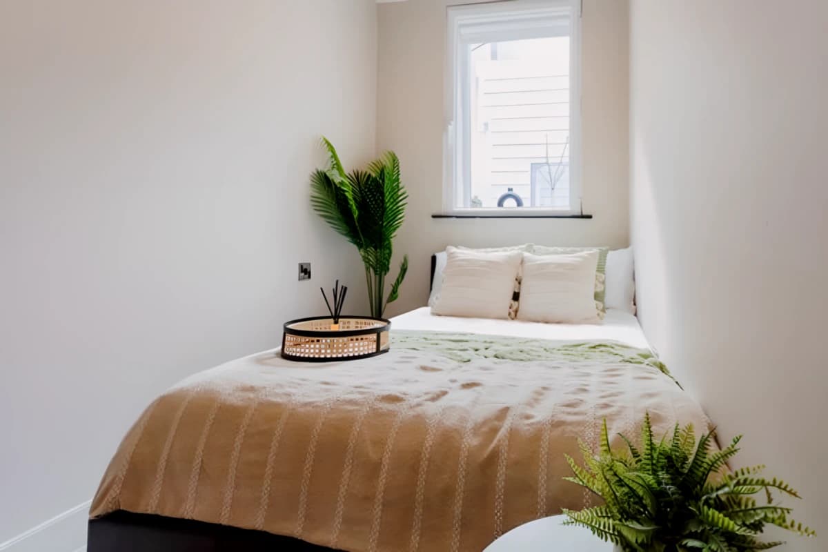 Dwell 121 Princess Street image