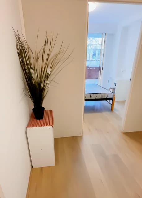 3 bedroom 1 bathroom