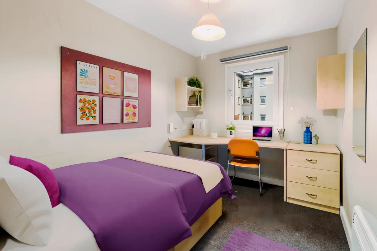 Canvas The Heights image