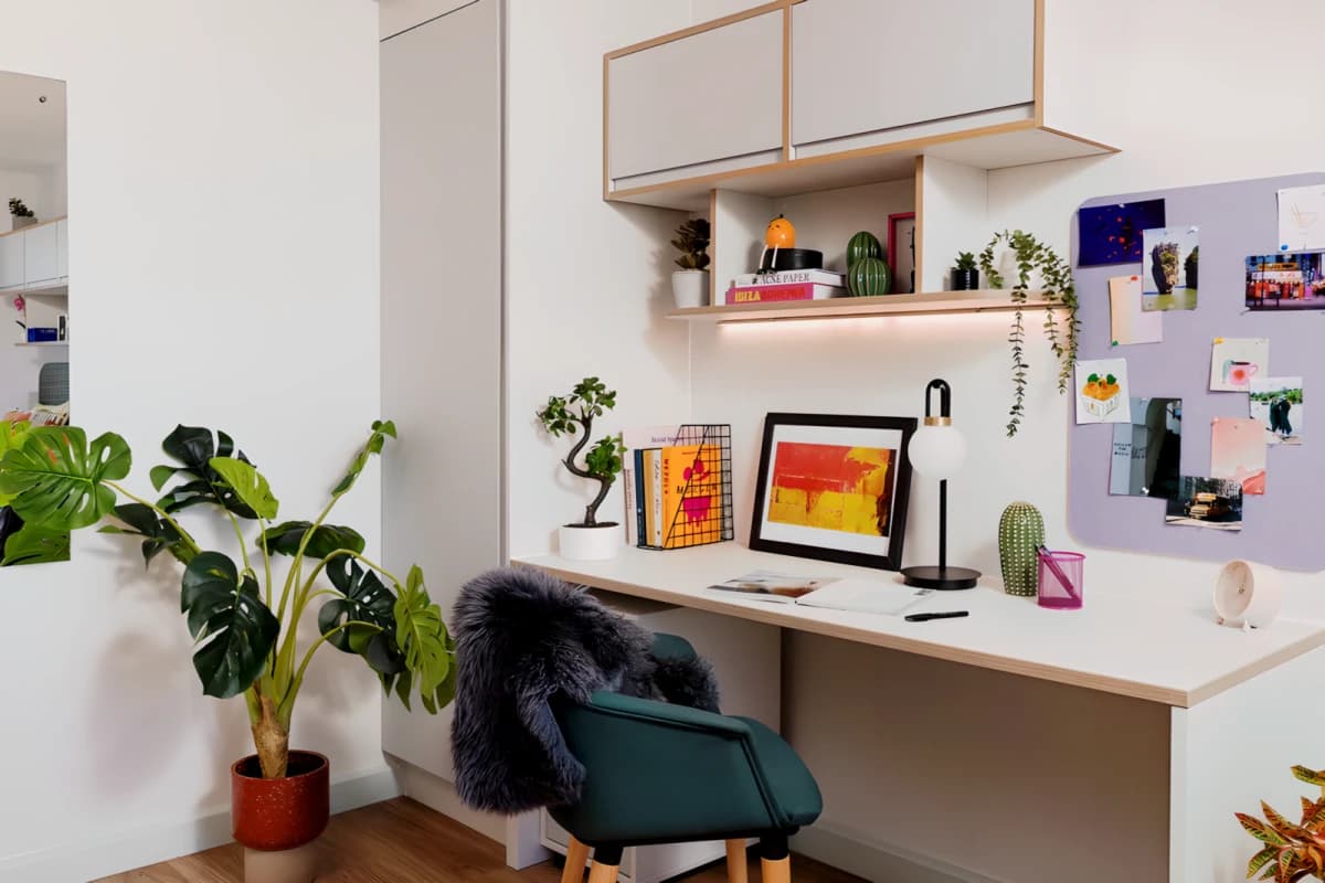 Extra Large Studio