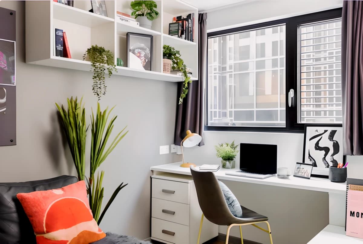 Large Studio