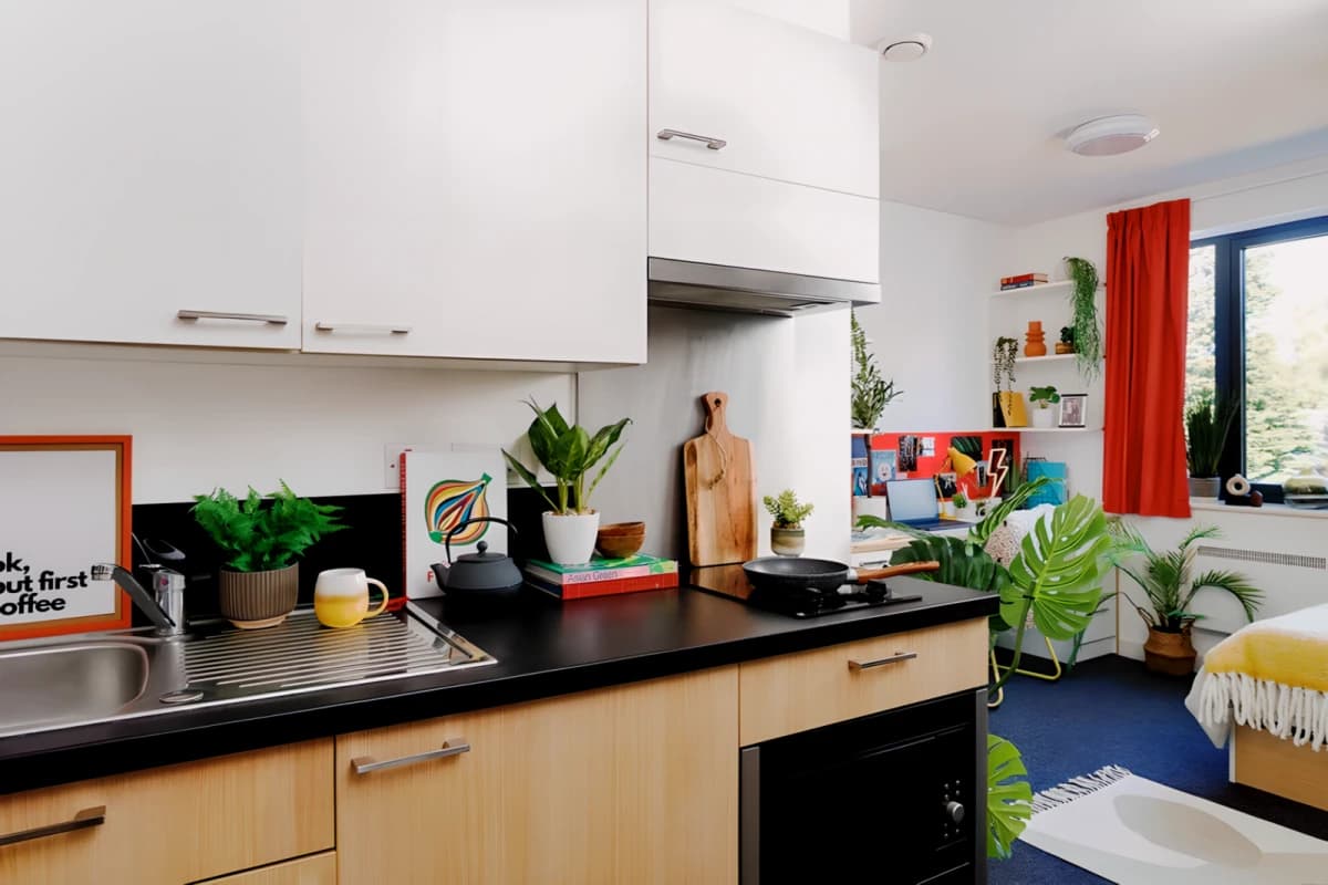 Elvet Studios image