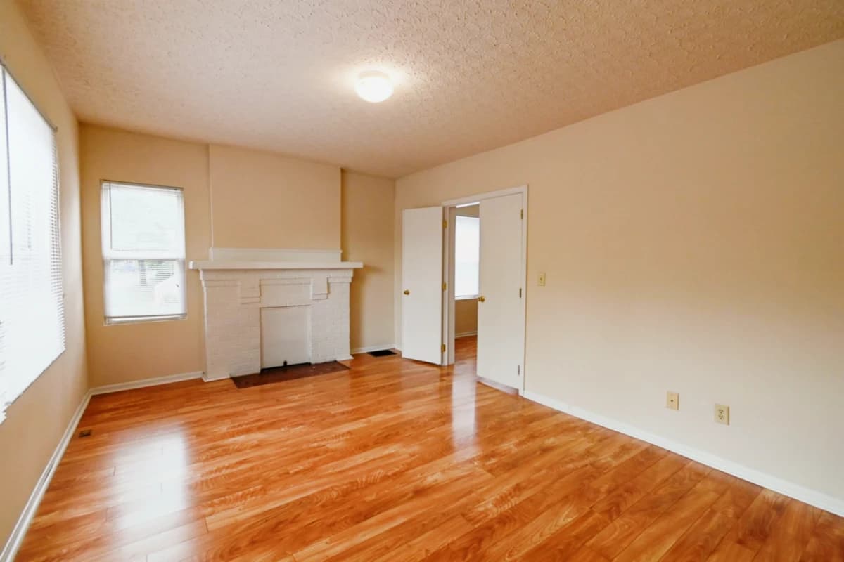 SHELBYmanagement image