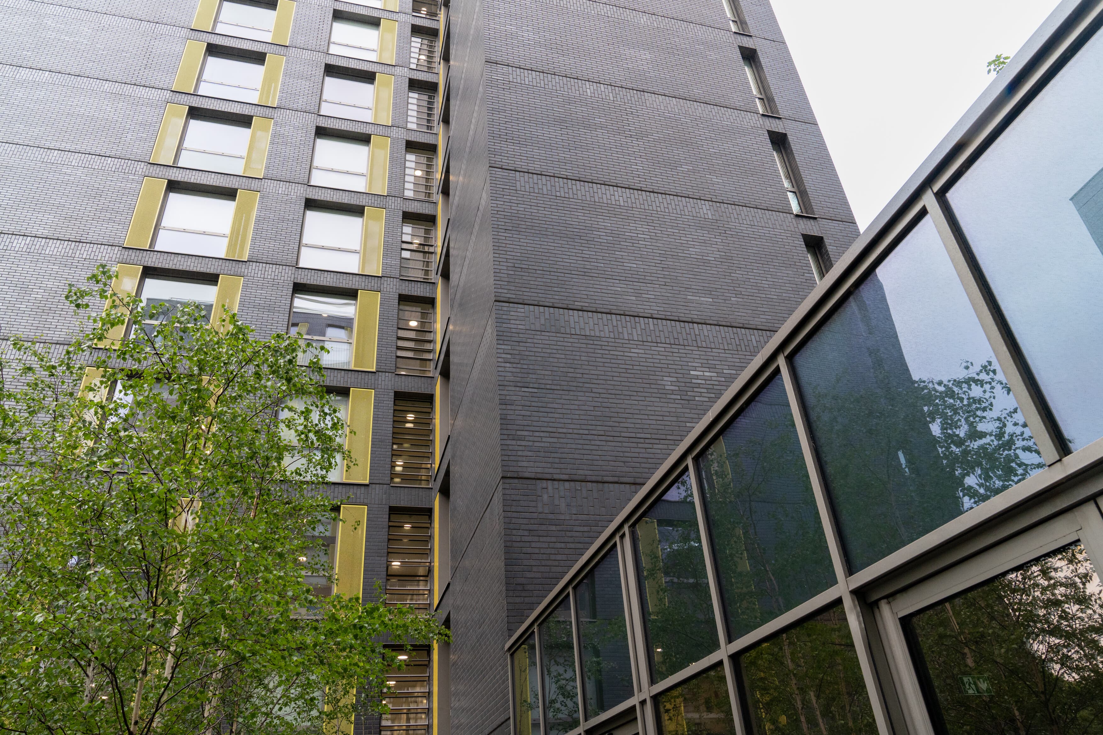 Chapter Lewisham image