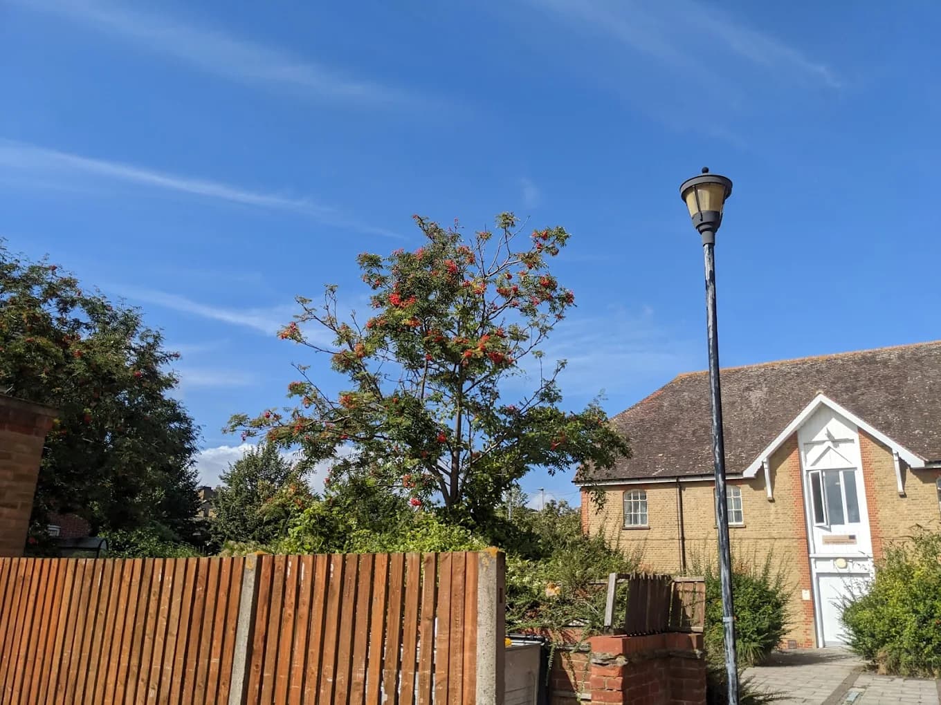 Rochester Student Village image 2