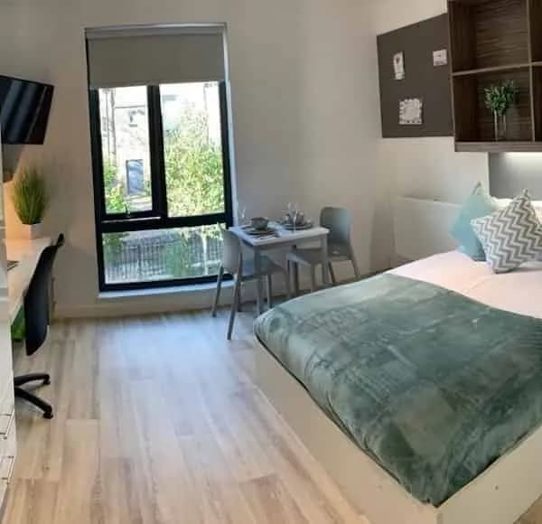 Studio Gold - Bedroom