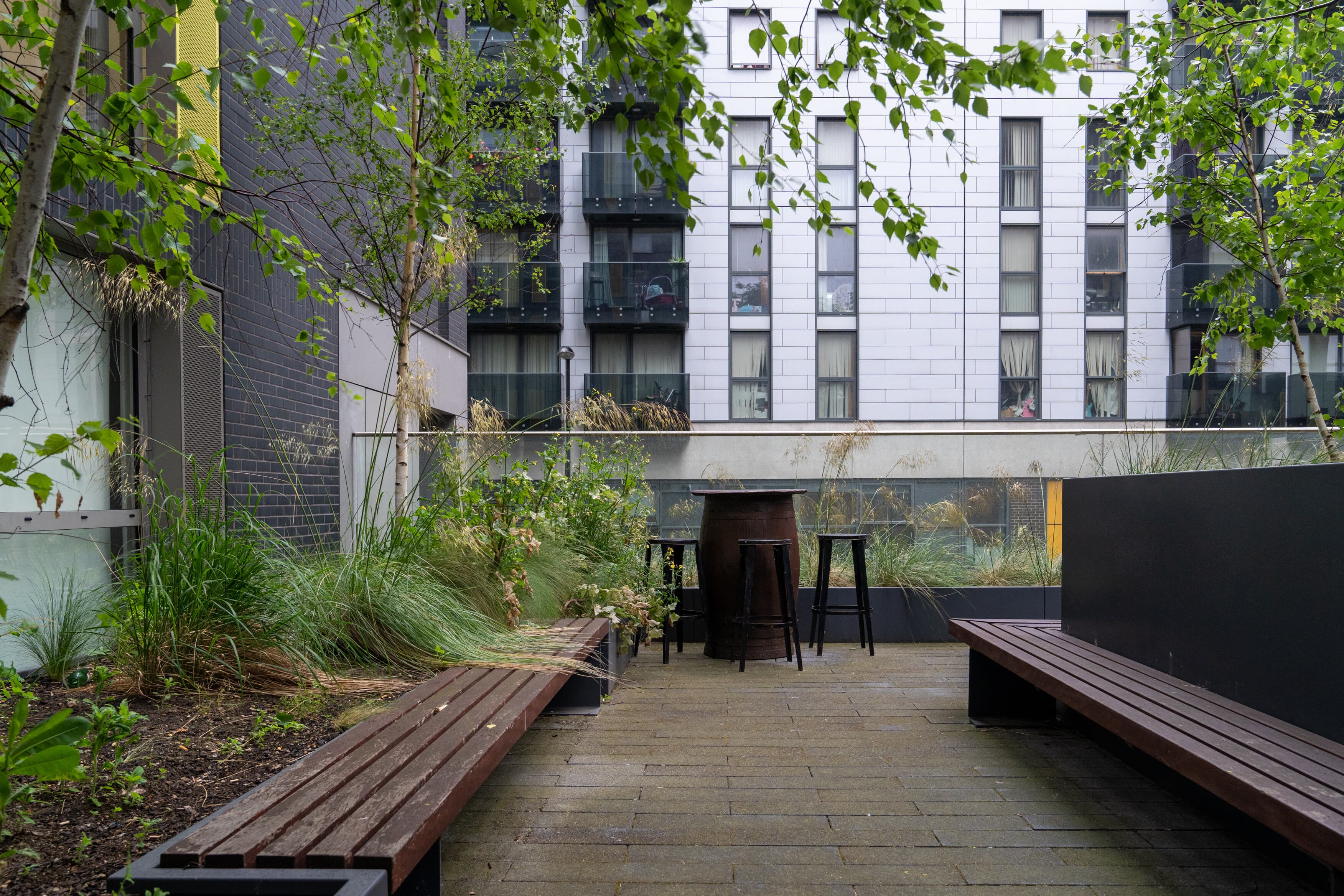 Chapter Lewisham image