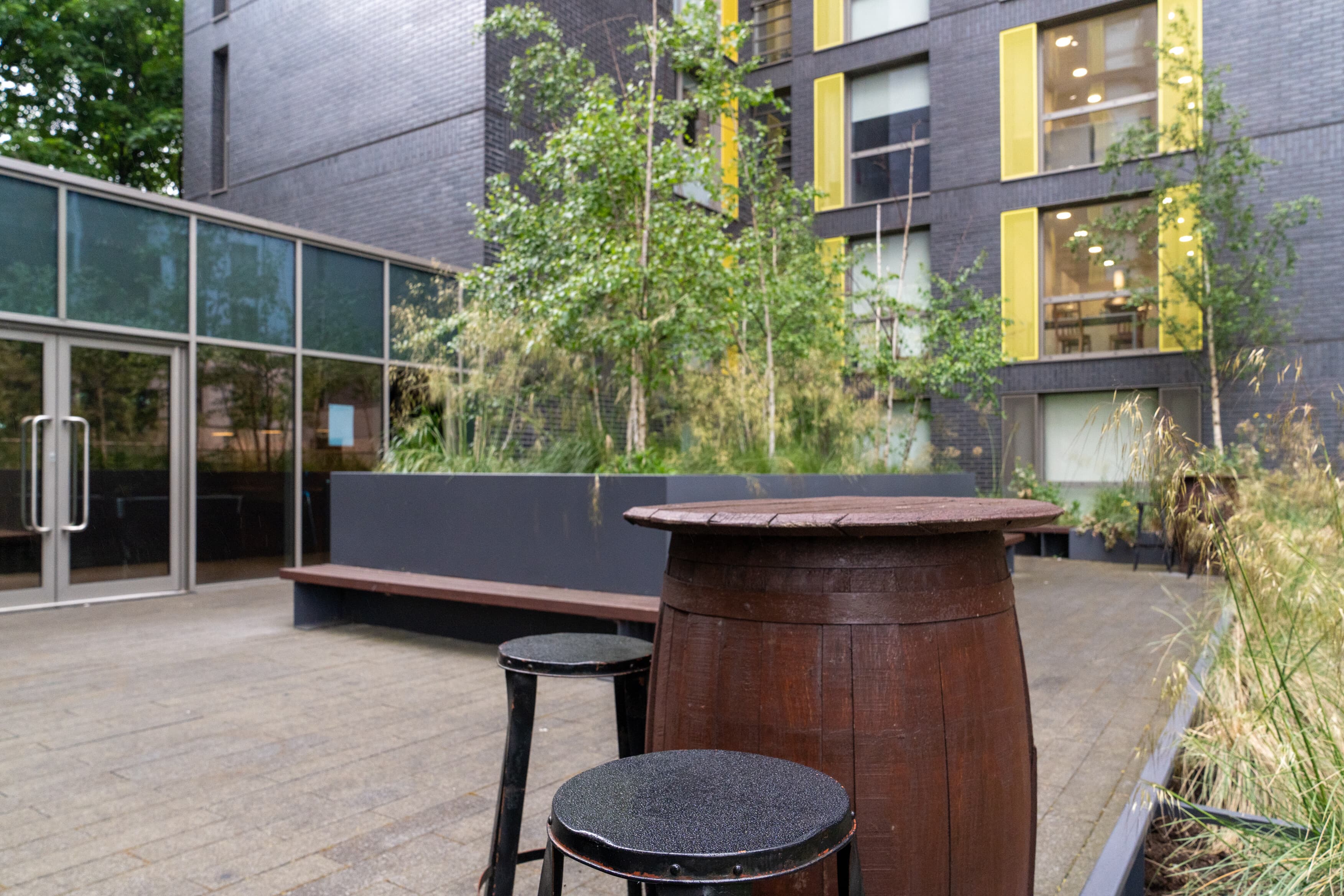 Chapter Lewisham image