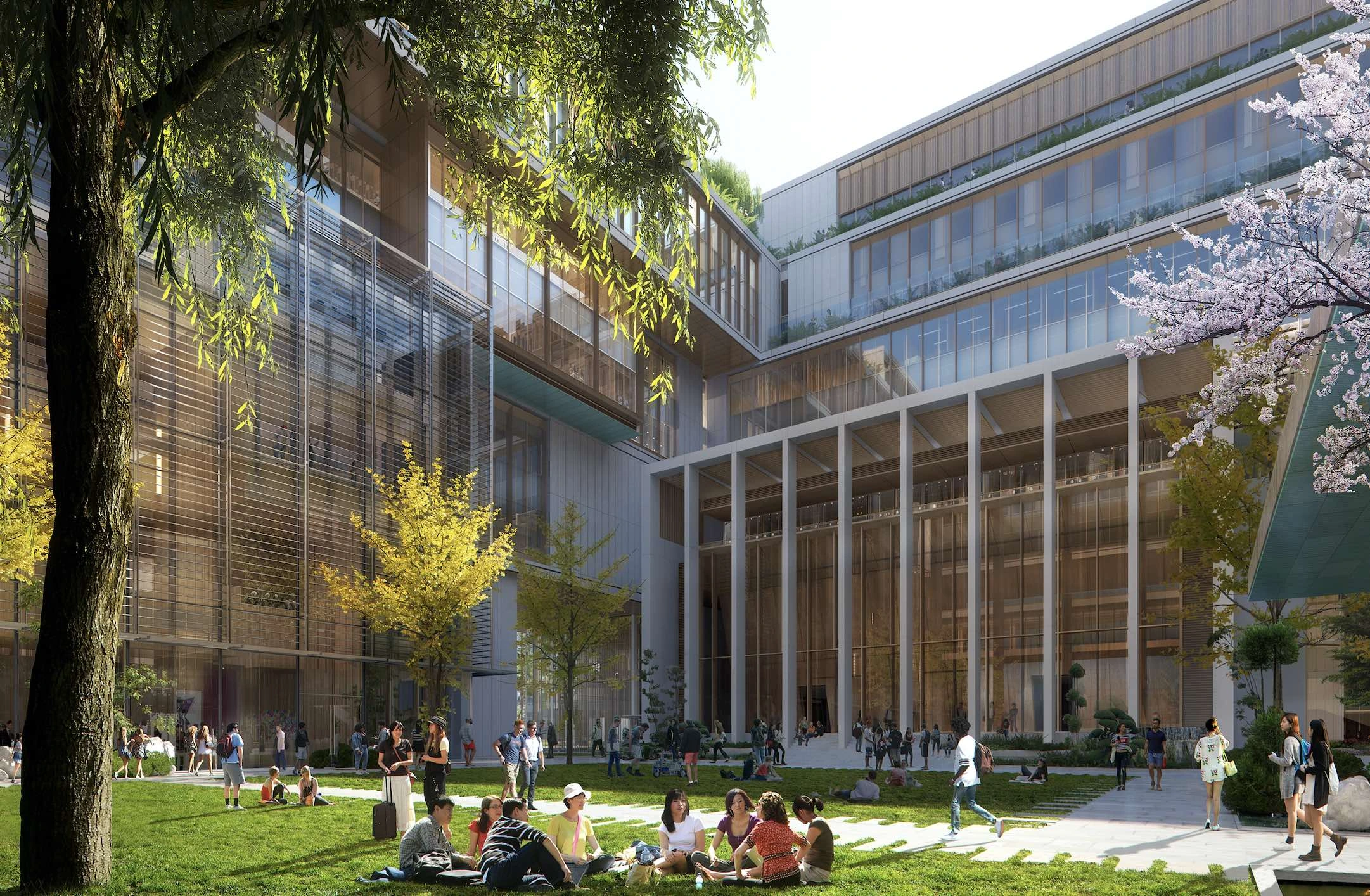 NYU Abu Dhabi